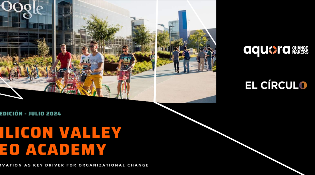 Silicon Valley CEO Academy
